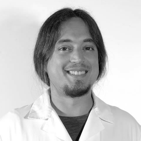 Prof. Daniel Martínez Segovia | Profesorado