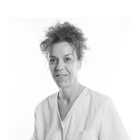 Prof. Susana Viñé | Profesorado