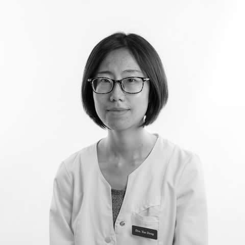 Prof. Yue Deng | Profesorado